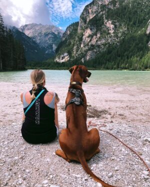 Franziska Böhler Instagram - Wenn der Teenie größer ist als DU✨
#pares 
Mein bester Freund
…mein Lebensretter….
(…das zweite Buch kommt….✨)
Grüße aus Südtirol ✨
#berge #dolomiti #dolomiten #bergliebe #familie #urlaub #dog #dogoftheday #dogsofinstagram #ridge #ridgeback #rhodesianridgeback #urlaubmithund #ziemlichbestefreunde #auszeit #wandern #familytime #natur #mountains #liebe