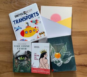 Frédérique Dufort Instagram - Si vous cherchez des idées de cadeaux, voici mes suggestions du mois dernier à @salutbonjourofficiel (chroniques des 6/11/22 & 20/11/22) ! 📚 

Bonne lecture! xx