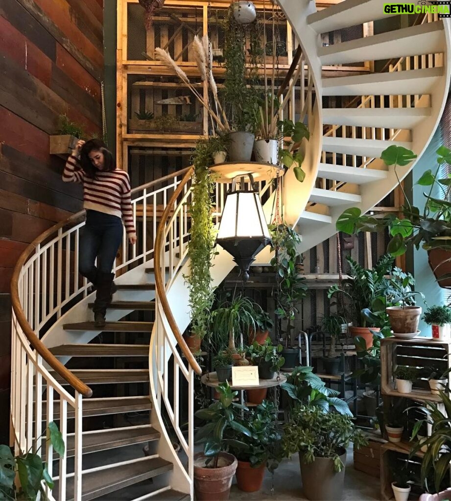 Gökçe Eyüboğlu Instagram - Bu merdiven çok meşhur;)