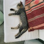 Gözde Cığacı Instagram - Tadım menüsü