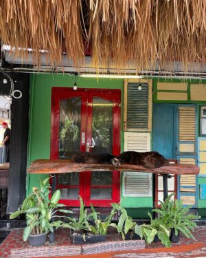 Gözde Cığacı Instagram - 🥥 

#whatever 

#bali #indonesia #youngcoconut 
#handmade #temple

Rasta ve örgü @rastaisleri 🤍
Çantam @hope.fuldreams