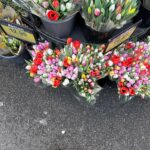 Gül Gölge Instagram - 📌