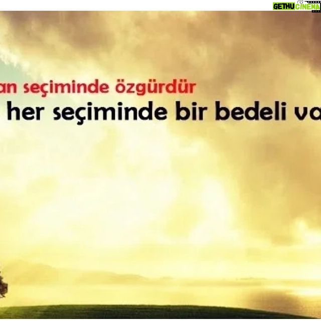 Gülden Avşaroğlu Instagram - Hey ! @ebruakbas Sıla ya söyle o haklıymış ! Kimseye 100 puan vermesin peşin ! 😇