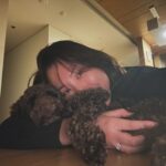 Gabee Instagram – AKA 착한강아지 포니🐴🫶
강아지를 입양하는것에 있어서 정말 많은 고민끝에 
드디어 결심하였습니다🙌🏻
1월에 서울 동물복지 지원센터를 통해서 포니를 입양하게 되었는데요,
아직은 엄마(me) 밖에 모르는 엄마(me)껌딱지 포니랍니다🤭
처음 만났을때 마르고 조랑말 같아서 포니라고 이름짓게 되었어요.
입양스토리는 제 유튜브 ‘가비걸’에 브이로그로 올려놨어용✌️
라치카 신년운세 콘텐츠도 같이 편집했으니까 재미있게 봐주세요☺️
꺄! 해피 뉴이어 새해복 많이 받으시와요🧧

Gabeegal & #poneeboi