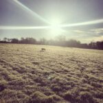 Gabriella Wilde Instagram - Morning walk 💙 #somerset