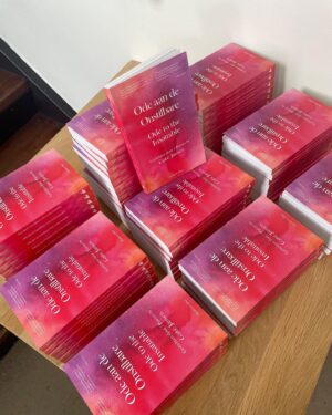 Gaite Jansen Instagram - AAAAAAAAH MY BOOK IS OUT AND YOURS NOW!!! 🫣🥹🫠💖💘💖 it’s a book of poetry & illustrations in both English and Dutch💖 it’s called ‘Ode aan de Onstilbare / Ode to the Insatiable’ and I hope you like it!!🫠💘💖✨🥹🫶🏼 

📸 @edwinsmulders