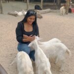 Gayathri Reddy Instagram - Goat babies. They ate my hair, chewed on my clothes and tried to eat my watch as well. It was fun.