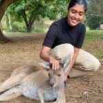 Gayathri Reddy Instagram - Never thought I’d touch a kangaroo🥲❤️❤️