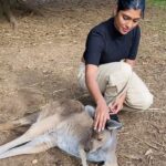 Gayathri Reddy Instagram - Never thought I’d touch a kangaroo🥲❤️❤️