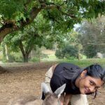 Gayathri Reddy Instagram - Never thought I’d touch a kangaroo🥲❤️❤️