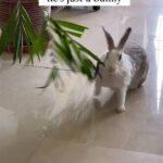 Gayathri Reddy Instagram - Bro. I gave birth.