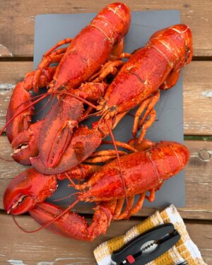 Geneviève O'Gleman Instagram - PASSION HOMARD 

En voyage en Gaspésie, ça PREND un repas de homard à un moment donné. Pas-le-choix. C’est exactement pour cette raison que j’ai décidé de me louer un chalet entre Percé et Gaspé. Mon seul but : avoir accès à une cuisine pour me préparer tout un snack! 🦞🦞🦞 

À la poissonnerie, j’ai acheté des homards déjà cuits. Je sais qu’ils seront réussis et moi, je ne dormirai pas dans un chalet qui sent le fumet! C’est pour ça aussi que je me suis installée dehors pour les décortiquer. Ensuite, avec la belle chair de homard frais, j’ai cuisiné des pâtes sautées au vin blanc et à l’échalote française. Garnies de roquette, d’un filet de jus de citron et d’un peu de fromage cheddar vieilli. UN DÉ-LI-CE

Avec un homard entier par portion, le meilleur resto de la région, c’était chez moi ce soir-là… ou plutôt aux @chaletsnautikagaspesie , mon “chez-moi” du moment! 👩🏻‍🍳🦞👌🏼

Comment aimez-vous vos homards? Nature? Avec du beurre à l’ail? Gratiné? Sur une pizza? Dans une bisque ou une chaudrée? Y’a tant de possibilités, j’ai hâte de vous lire!

Geneviève au chalet xx 🌲🏡

#roadtrip #surlaroute #gaspesie @tourismegaspesie #commandité #mangerlocal #bonjourquebec #quebecmaritime