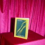 Georgie Henley Instagram - today is the last day to donate with the chance of winning an annotated copy of Amphibian! very touched to be part of such a wonderful initiative to honour Eden and continue her singular legacy 💐 there are SO MANY other incredible prizes to bid for (and only for 10 quid) over on the @polyesterzine website 🫶 let me know if you’ve thrown your hat in the ring!!