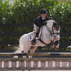 Georgina Bloomberg Instagram - The Itty Bitty jumpers have been a blast so far this season, with Viking and Jasper putting in some great rounds, and Ben O’Connor with our Nikita taking the win twice already. But the best part for these two best friends has by far been being able to do it all together. 💙(📷: @sportfot.photovideo). @ruthiemay20 @cianoconnor_official @thebreenteam @mwg330