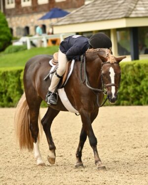 Georgina Bloomberg Instagram - The face of a boy who set a goal to work hard and ride his best all weekend, and was rewarded for doing just that with his all time high score of 91. 💪🏼💙🥇🐴 (📷: @selphoto327) @oldsalemfarmny @mwg330 @poniesandpalmsshowstablesllc