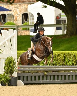 Georgina Bloomberg Instagram - Jasper and Rico Suave take their second tricolor of the Old Salem Farm Spring shows, after winning both over fences classes on Sunday and claiming the Small Pony Hunter championship. @mwg330 @oldsalemfarmny @poniesandpalmsshowstablesllc 💙🏆🐴