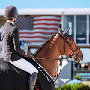 Georgina Bloomberg Instagram - It hasn’t been an easy road back to the winner’s circle. But making it back in on the beach, and with my favorite fan by my side, made it worth every moment. ☀️🌊💙🐴🌴 @longinesglobalchampionstour (📷: @sportfot.photovideo)