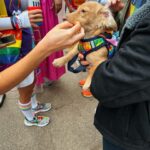Gibi ASMR Instagram - Atlanta Pride this weekend with some good friends 🥹 it was really really really nice!!!! I even got to give some Gibi viewers some hugs 🥲 and I got James some good stuff as seen in slide 5 hehehe