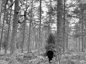 Gina Dirawi Instagram - Tillbaks i trollskogen🧌