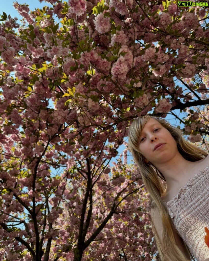 Gina Gershon Instagram - Cherry blossoms, friends and Godkids. #sunday