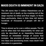 Gina Gershon Instagram – We can all agree that what occurred on October 7 th was horrific beyond. Hamas  is the enemy – to watch all of these innocent people die is unbearable. Bring back our hostages. Anti semitism is out if control. Unacceptable.  Unbelievable really-Stop All of the Killing- what have we all turned into? – . .
#repost @mxviv ・・・
“Famine is projected to occur anytime between now and May 2024 in the northern governorates,” the UN Food and Agriculture Organization (FAO) said, upon publication of a new Integrated Food Security Phase Classification (IPC) report on Gaza.

‘Act now to prevent the unthinkable’

“Palestinians in Gaza are enduring horrifying levels of hunger and suffering”, said UN Secretary General António Guterres outside the Security Council in New York, describing the IPC report as an “appalling indictment of conditions on the ground for civilians”.

“This is the highest number of people facing catastrophic hunger ever recorded by the Integrated Food Security Classification system – anywhere, anytime,” he added.

“This is an entirely man-made disaster, and the report makes clear that it can be halted,” he warned, saying this showed the need for an immediate humanitarian ceasefire.