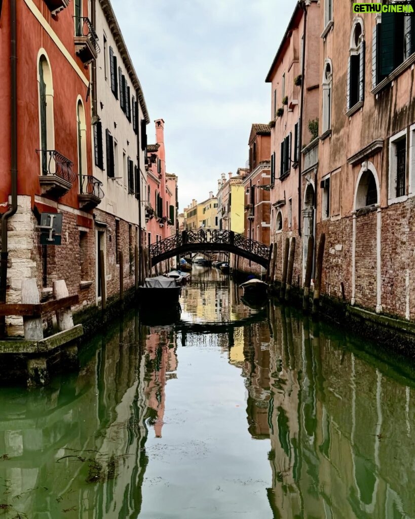 Gina Gershon Instagram - Venetian Moth