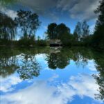 Gina Gershon Instagram – Upside down World #2