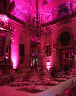 Giulia Elettra Gorietti Instagram - Yesterday night 
@pinkoofficial 🩷⭐️
.
.
.
.
.
#pinko #palazzoruspoli #pinkoofficial #actress #christmasdinner #friends #goodvibes #roma