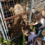 Giulia Elettra Gorietti Instagram - Pasquetta in fattoria 🫏 🐷 🍲 . . . . . . #pasquetta #fattoria #farm #girls #easter #italianeaster #animals #silver #jacket #friends