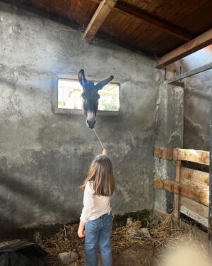 Giulia Elettra Gorietti Instagram - Pasquetta in fattoria 🫏 🐷 🍲 
.
.
.
.
.
.
#pasquetta #fattoria #farm #girls #easter #italianeaster #animals #silver #jacket #friends