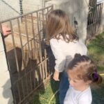 Giulia Elettra Gorietti Instagram - Pasquetta in fattoria 🫏 🐷 🍲 . . . . . . #pasquetta #fattoria #farm #girls #easter #italianeaster #animals #silver #jacket #friends