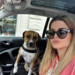Giulia Elettra Gorietti Instagram - Date all’uomo un cane e la sua anima sarà guarita 💖 . . . . . . . #dog #maraya #giuliaelettrago #amstaff #pitbull #amabili #mydog #mylove