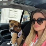 Giulia Elettra Gorietti Instagram - Date all’uomo un cane e la sua anima sarà guarita 💖 . . . . . . . #dog #maraya #giuliaelettrago #amstaff #pitbull #amabili #mydog #mylove
