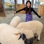 Gladys Tsai Instagram - 假期走春到一個超級爆炸可愛 可以近距離跟水豚君、羊駝、小毛驢 互動做好朋友的地方🦙🫏🐎 就是新竹的✨廢物媽媽育兒農場✨ 被一堆小動物圍繞真的太療癒了啦！ 而且一點都不怕生 都很溫馴的靠在旁邊可以餵食跟摸摸 根本就是大人小孩的天堂～ #love #life #lifestyle #cute #animals #farm #relax #holiday #生活 #日常 #假日好去處 #農場 #動物 #水豚 #水豚君 #鹿 #羊