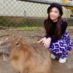 Gladys Tsai Instagram - 假期走春到一個超級爆炸可愛 可以近距離跟水豚君、羊駝、小毛驢 互動做好朋友的地方🦙🫏🐎 就是新竹的✨廢物媽媽育兒農場✨ 被一堆小動物圍繞真的太療癒了啦！ 而且一點都不怕生 都很溫馴的靠在旁邊可以餵食跟摸摸 根本就是大人小孩的天堂～ #love #life #lifestyle #cute #animals #farm #relax #holiday #生活 #日常 #假日好去處 #農場 #動物 #水豚 #水豚君 #鹿 #羊