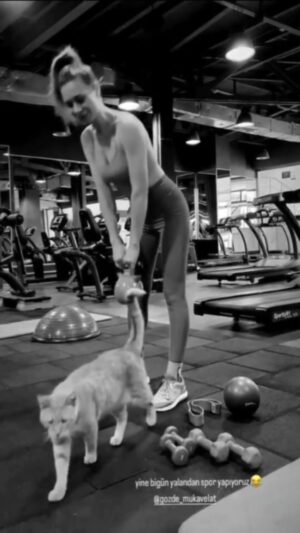 Gözde Mukavelat Instagram - O esniyo benim yerime, ben ağırlık çalışıyorum spor daha çabuk bitiyor 😹😻