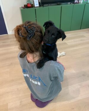 Grace Victoria Cox Instagram - Update: echo is adopted!!! My perfect(!!!) foster girly, Echo, is available for adoption through @wagsandwalks! Echo is around 9 weeks old and is already 22 pounds!! She’s listed as a lab mix and I’m thinking she’s going to be a VERY big girl! ❤️❤️ Echo is SO special. She’s the sweetest puppy you’ll ever meet. She loves being cuddled, carried, and acting like your little shadow!!!Echo adores ALL people and other dogs- her fav activities are romping around with my dog, playing with all of her toys, and curling up for a nap next to her people 💖💖💖 If you’re looking for a new best friend, you can submit an application to adopt Echo on the Wags and Walks website! If you have any questions about Echo please let me know and I would be so happy to tell you more about her!! ❣️