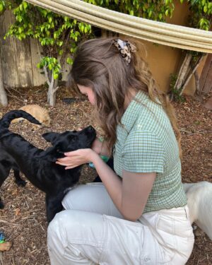 Grace Victoria Cox Instagram - @pupswithoutborders is an AMAZING rescue that works to save tons of dogs in the US and Mexico!! I got to hang out with some of their available pups today and OF COURSE met 2 perfect little scruffs that reminded me of my girly, Violet 💜💜💜, along with so many other awesome dogs!!! You can check out adoptable dogs on the @pupswithoutborders Instagram page or on their website :) and you can always always volunteer to foster dogs if you just wanna help out! ❣️❣️❣️I started fostering a few years ago and it’s the BEST THING I’VE EVER DONE 🥺😍