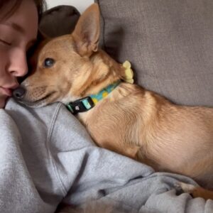 Grace Victoria Cox Instagram - * update !! Yoda is adopted! :) * Mama Yoda will be available for adoption SOON!! through @tobiessmalldogrescue! I know I say this about every foster I’ve ever had but….. this time I really REALLY mean it when I tell you that Yoda is the MOST special dog of all time. She loves everyone!!! She literally cries on walks when she doesn’t get to say hi to everybody that she sees!! Yoda is a total angel with other dogs (even my crazy girl violet likes her!!) and kids! All this girl wants to do is cuddle up next to you and nap. One of Yoda’s legs is extra cute and smaller than the rest, but she has no problem hopping around with you!! Hikes and long walks aren’t for her but couch potato dogs are a dream. Yoda doesn’t really understand playing but I think as she feels more comfortable in her environment and with another dog around to teach her she could get the hang of it?? But to be totally honest with you she is already PERFECT exactly as she is ❤️❤️❤️ Yoda has SOOOOOO much LOVE to give. If you’re looking for a new best friend she is 100% your girl!!!