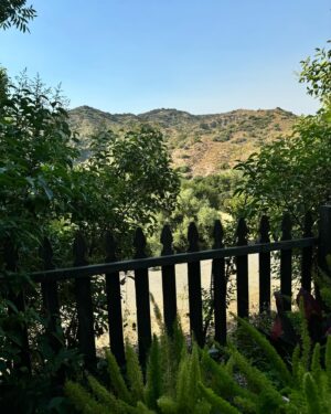Grey DeLisle Instagram - #topangacanyon @themountainmermaidintopanga