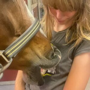 Gry Forssell Instagram - Käraste, finaste lilla Mooni ❤️ Efter drygt tre (underbara och lärorika) år så flyttar hon ut på landet, tillbaka till familjen som vi köpte henne av och nu håller vi tummarna att drömmen om att hon kan få ett litet föl eller två blir sann. ✊🏼❤️ Älskar man henne en gång så älskar man henne för alltid.