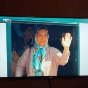 Actress Gülhan Tekin HD Instagram Photos and Wallpapers May 2024