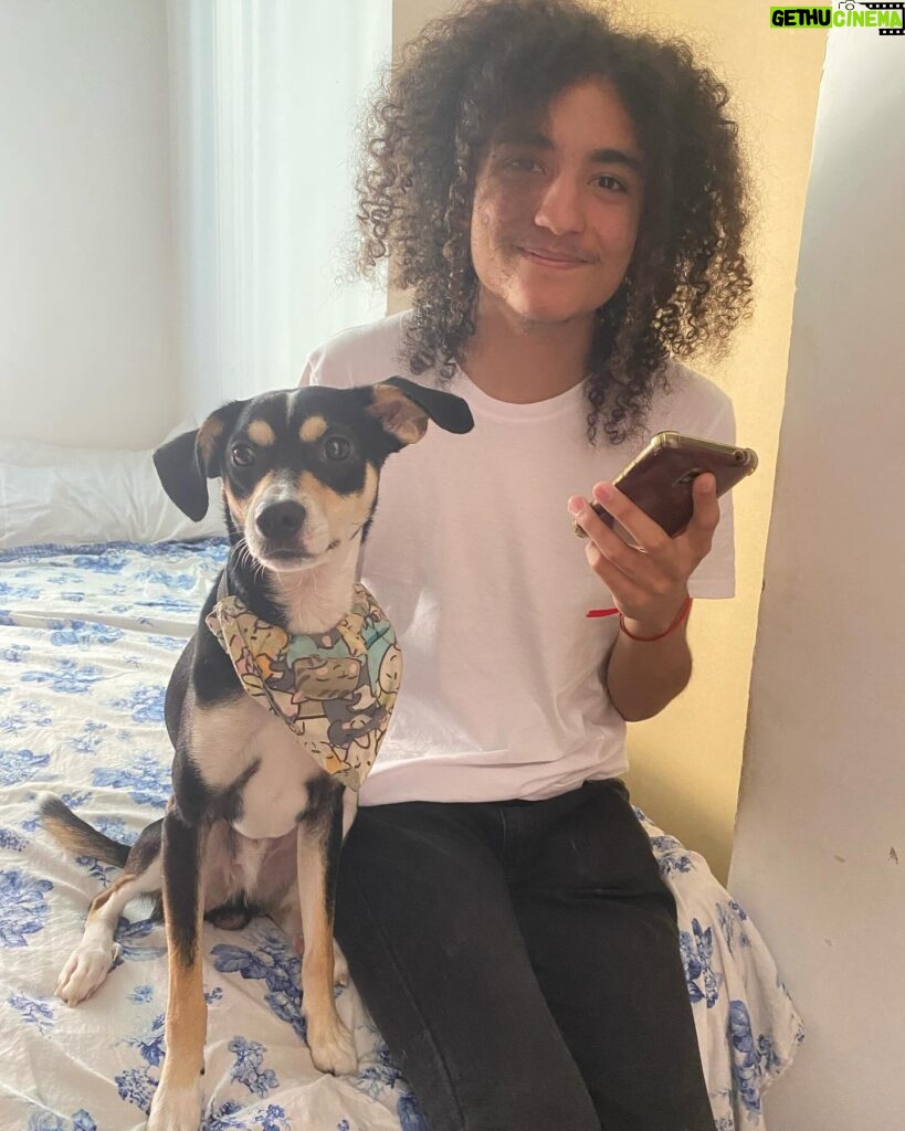 Guta Stresser Instagram - O meu afilhado, sobrinho e amigo Ronald Lopes Stresser, com o amigo Chopp II, o Cãozinho 🐶 do outro sobrinho, o Theo. Sou uma tia orgulhosa!! Amo meus sobrinhos!! Amo nossos pets também!!! Sdds do Carlão, da Pink e do Floyd!! Beijos da tia, rapazes!!! . . . . #ronaldslopesstresser #chopp #amigos #sobrinho #afilhado #família #tiaguta #gutastresser #curitiba