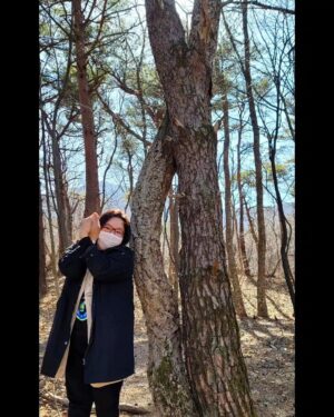 Ha Jae-sook Instagram - 오늘 산길을 걷고 있는데 이스방이 저 나무를 좀 보란다..
서로 사랑해서 의지하며 한몸처럼 살아가는 나무라고..
자연과 인간도 결국에는 따로 살아갈수 없는데..
산이, 바다가 나에게 내어주는 넓은 품을 오래오래 즐기기기위해...
내가 할일이라고는 그저...
내가 먹고 쓴 쓰레기 챙겨오기...아주 작은 불씨라도 다시 한번 확인하기... 그런 사소한 습관이면 되는데...
산불이 너무 무서웠던 그날밤이 떠올라 이번 산불도 남일같지 않았습니다..부디 빠른시일내에 복구되어서 이재민들이 삶의 터전으로 무사히 복귀하시길 바랍니다🙏
#산불조심#두번세번백번외치고실천해도부족한말#산불조심#환경보호#힘내세요#고성댁