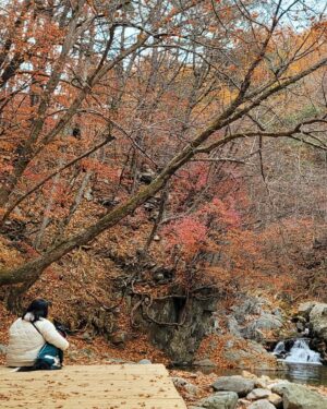 Ha Jae-sook Instagram - 어느날🍂🍁#급만남은늘짜릿하고아쉽다#고성댁
#휘게포레스트#민둥산