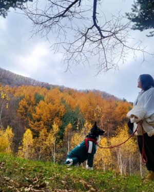 Ha Jae-sook Instagram - 어느날🍂🍁#급만남은늘짜릿하고아쉽다#고성댁
#휘게포레스트#민둥산