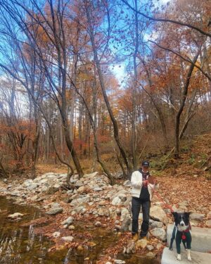 Ha Jae-sook Instagram - 어느날🍂🍁#급만남은늘짜릿하고아쉽다#고성댁
#휘게포레스트#민둥산