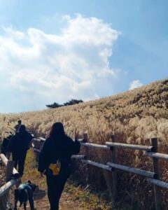 Ha Jae-sook Instagram - 어느날🍂🍁#급만남은늘짜릿하고아쉽다#고성댁
#휘게포레스트#민둥산