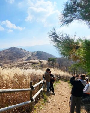 Ha Jae-sook Instagram - 어느날🍂🍁#급만남은늘짜릿하고아쉽다#고성댁
#휘게포레스트#민둥산