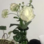 Ha Soo-young Instagram -